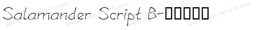 Salamander Script B字体转换